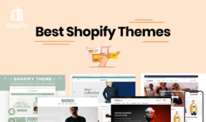 Best Shopify Theme